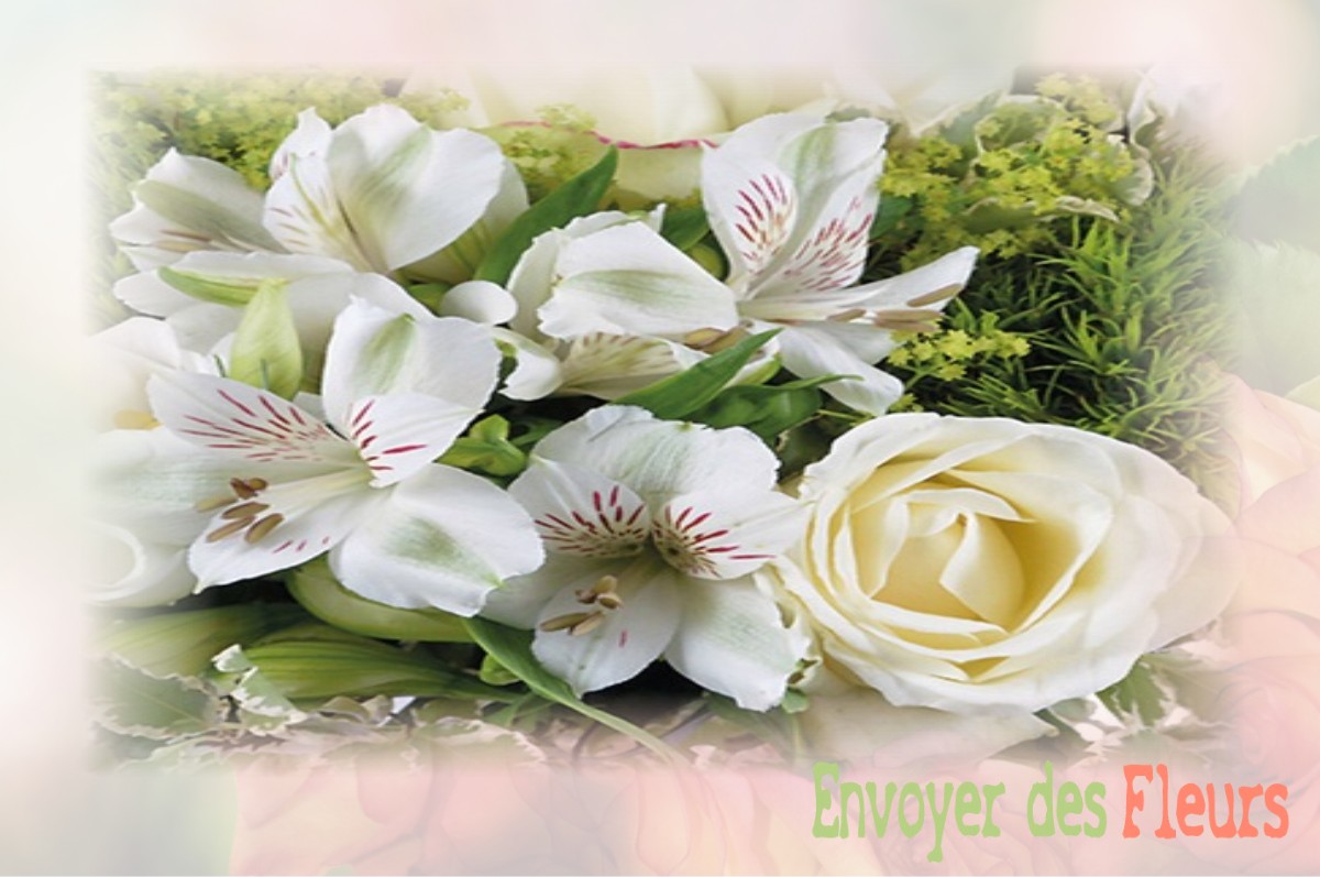 envoyer des fleurs à à VERNOU-EN-SOLOGNE
